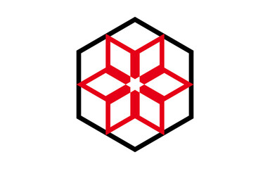 Creative Star Logo Design Service For Your Company