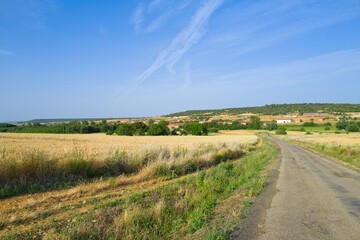 길거리, 경관, 들판, sky, 네이처, 목초, 국가