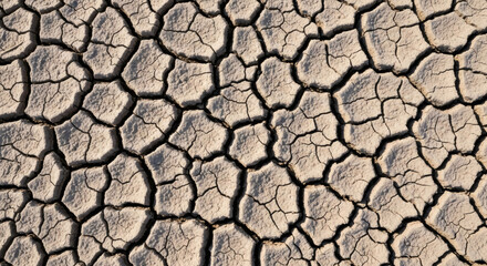 Dramatic cracked earth pattern showcasing drought conditions, perfect for illustrating environmental issues and the impact of climate change worldwide