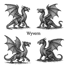 Wyvern Dragon Creature in Vintage Engraving Style Transparent Background