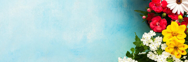 Colorful spring flowers decorate a home balcony, creating a vibrant atmosphere. This scene showcases various blooms against a bright blue background, enhancing the outdoor space charm, banner