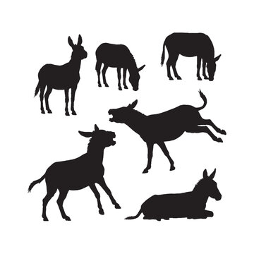 Donkey Animal Silhouette Vector Set