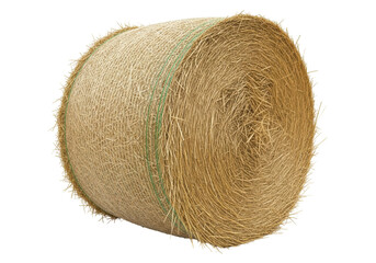 Isolated round bale of hay tied with green twine for animal feed, livestock forage