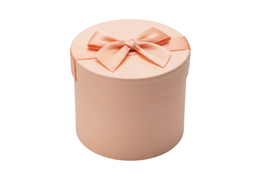 Isolated light pink gift box with matching bow and lid, for birthdays, holidays, events