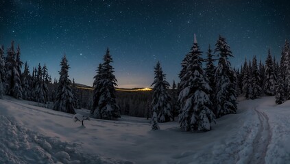 Winter wonderland: snowy forest landscape under starry night sky photography scene