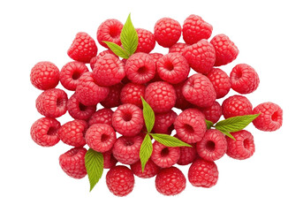 Isolated pile of delicious red raspberries with leaves, fresh fruit dessert ingredient
