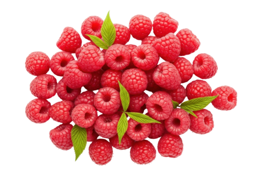Isolated pile of delicious red raspberries with leaves, fresh fruit dessert ingredient