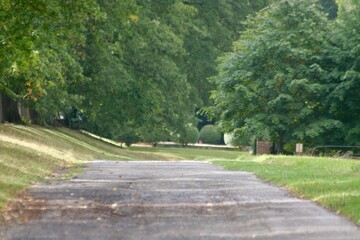 A peaceful countryside path winds through tall trees and lush greenery. Sunlight filters gently through the leaves, casting dappled shadows along the quiet trail. A serene scene perfect for reflection