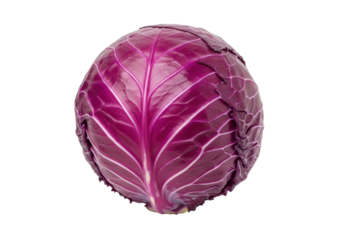 Isolated red cabbage, also known as purple cabbage, on a neutral background, raw healthy vegetable