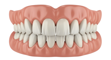 Isolated dentures with upper and lower set of fake teeth for senior people with no teeth