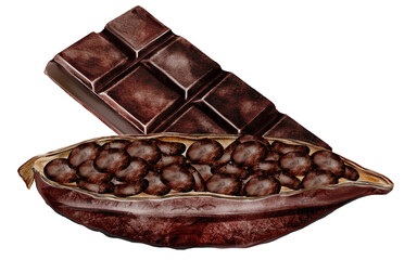 Cocoa beans and pods with a chocolate bar. Superfood clip art. Hand-drawn watercolor illustration on a white background. For chocolate and cocoa product designs.