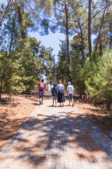 A family strolls along a shaded stone path through a sun-dappled pine forest in Corfu, Greece.