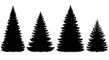 Obraz premium Silhouette of four evergreen trees isolated on white background