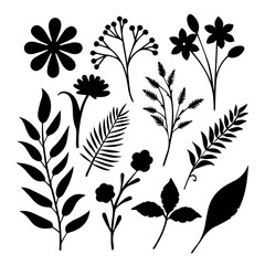 set of black and white flowers