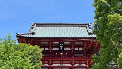 鶴岡八幡宮の鮮やかな楼門と新緑、青空 | 鎌倉の歴史的な神社 Kamakura Japan