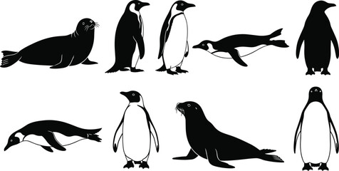 Penguin and seal silhouette set with swimming, standing, sitting, marine animal poses, aquatic motion, and wildlife comparison