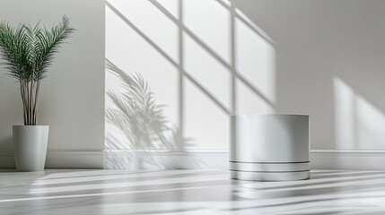 Realistic Industry Advertisement Luxury Bright Minimalist Interior with Shadows and Green Plant Accent