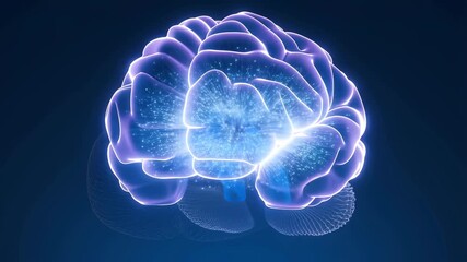 Glowing digital brain neural network illustrating artificial intelligence and futuristic technology concept with neural activity and science - Powered by Adobe