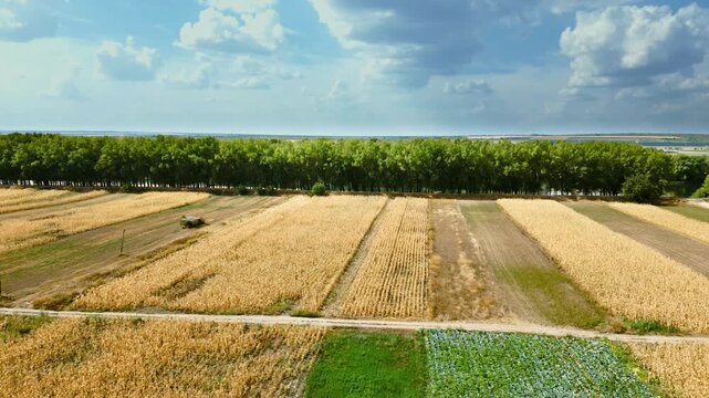 An aerial view over the neatly patterned fields near Pohrebea, Moldova, glowing in rich late-season tones beneath a dramatic sky separated by aa green treeline.