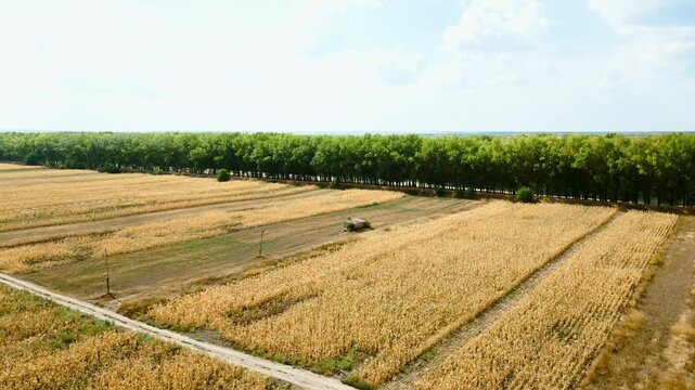 A side movement drone view showcasing the rural organized farmland near Pohrebea, Moldova, glowing with warm late-season hues beneath a dramatic sky. Green tree line separating the image.