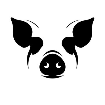 Stylized pig head vector illustration