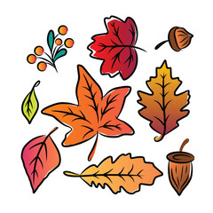 Autumn collection with fallen leaves, pumpkin, acorns, berries and scarf vector illustration set.