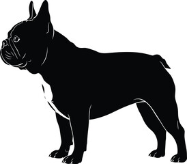 French Bulldog silhouette vector, dog profile illustration, black graphic art, pet breed icon, animal design, canine clipart