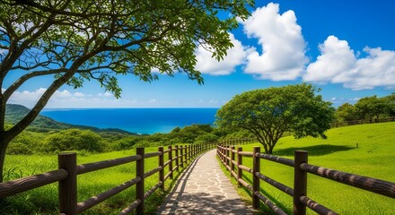 Fototapeta premium Scenic pathway leading to the ocean in saint lucia with lush green hills and a vibrant blue sky