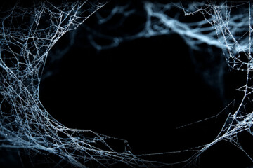 Spooky Spiderweb Overlays: Eerie Halloween Backgrounds with Creepy Cobwebs and Frightening Arachnid Webs for Haunted House Decor, Scary Party Invitations, and Spine-Chilling Digital Artwork