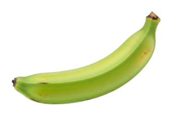 Isolated raw plantain in studio light against neutral backdrop ready for commercial use