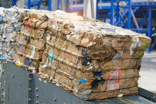 Compressed cardboard and plastic bales in recycling facility, eco friendly factory