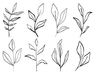 Botanical leaves and foliage branch twig sketch. Minimal lineart contour illustration. Natural decorative plant design.
