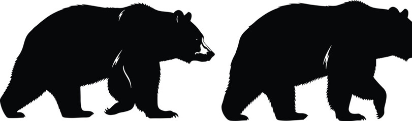 Bear silhouette vector, walking bear poses, wildlife animal illustration, black graphic art, forest creature design, nature themed clipart