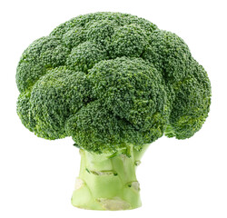 Broccoli isolated on transparent background. Fresh Broccoli. Broccoli with PNG. No AI