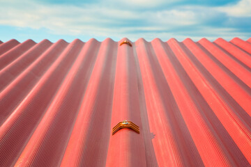New roof with colored corrugated plastic plate