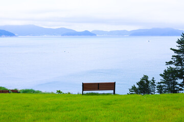 empty chair in the meadow,