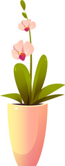 Potted Orchid