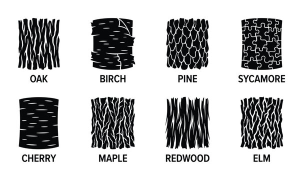 Set of eight tree bark textures including oak, birch, pine, sycamore, cherry, maple, redwood, and elm