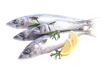 Fresh fish mackerel on white background isolated