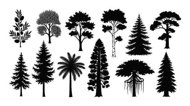 Set of trees silhouettes isolated on white background, black outline plants collection for design