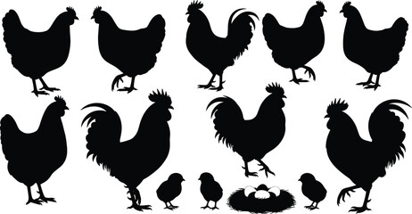 Chicken silhouette, rooster vector, chick illustration, poultry icons, farm animal clipart, egg nest graphic, livestock design, agriculture elements