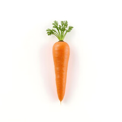 Single vibrant orange carrot with feathery green leaves on stark white background