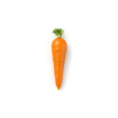 Single vivid orange carrot with green top isolated on a white background
