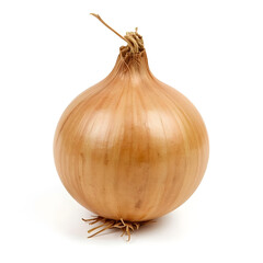 Single yellow onion with roots resting on white surface in studio lighting