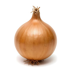 Single brown onion with curled root strands on seamless white backdrop in studio lighting