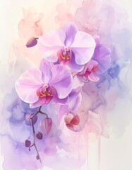 Gentle Orchid Dream