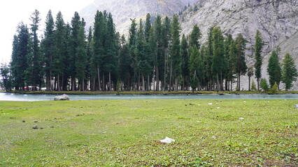 Serene turquoise mountain lake surrounded by pine trees and a rocky meadow, tranquility concept.