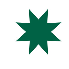 green star icon