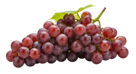 A fresh cluster of ripe red grapes with a small green leaf and stem, isolated on transparent background, perfect for food and healthy eating concepts
