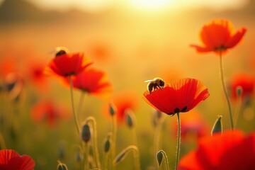 Naklejka premium Dreamy field of red poppies and bumblebees captured in vibrant summer photo with shallow depth of field